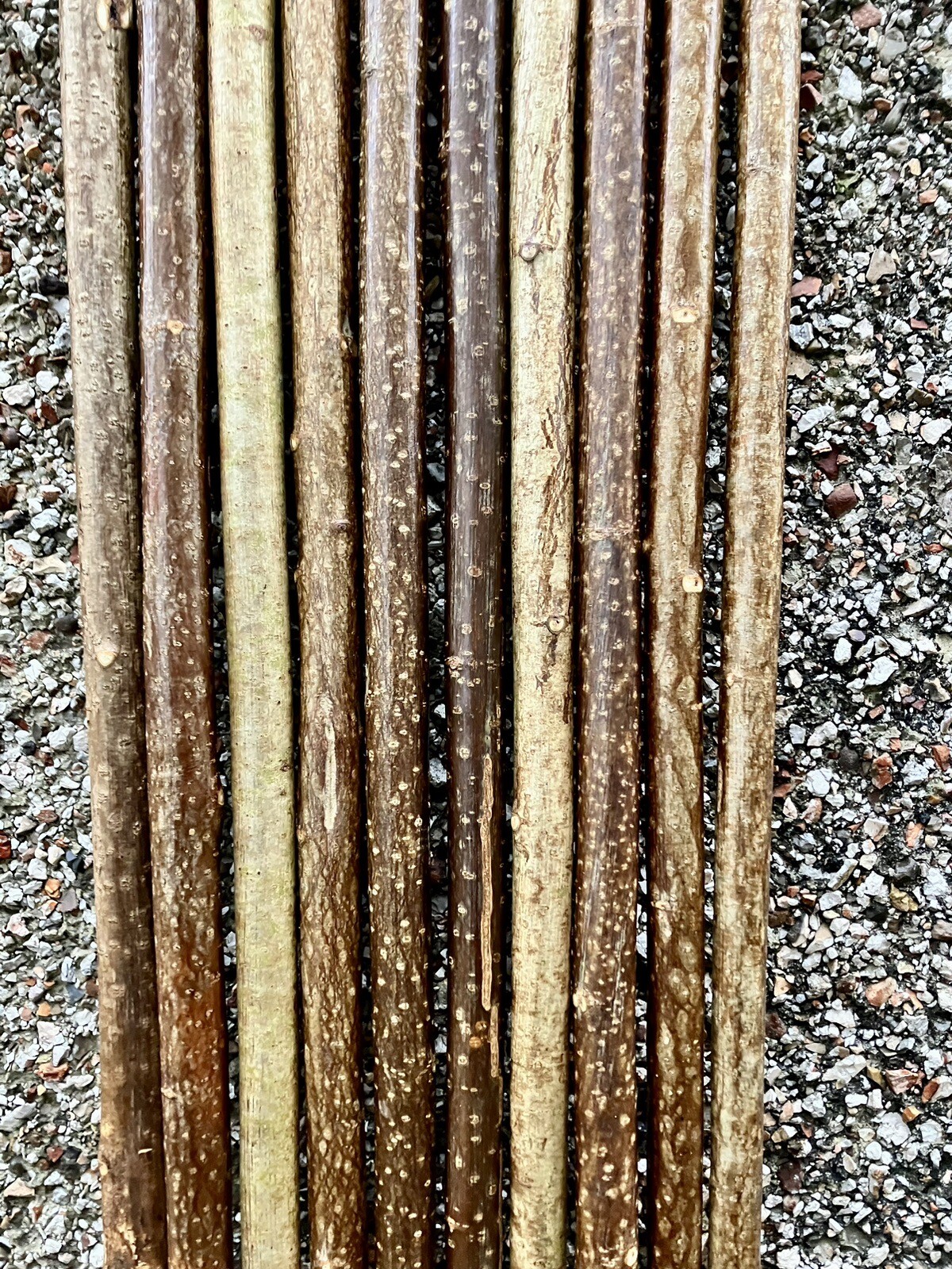 10no Hazel Walking Stick Shanks 1.4m Seasoned. eBay