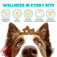 Dog Probiotic Chews 60 Count Digestive Gut Health Beef