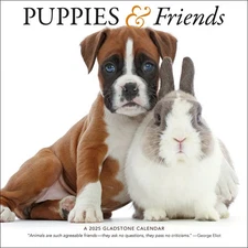 Carousel Calendars,  Puppies and Friends 2025 Wall Calendar