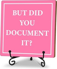 But Did You Document It, Funny Office Desk Decor, HR Gifts Decorative Pink
