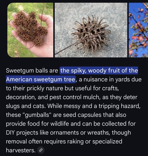  SWEETGUM (sfere appuntite) + ciondolo a goccia in resina su cordoncino, unico nel suo genere - Foto 3 di 3