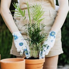 U Shape Plant Support Frame Clear Acrylic Holder Climbing Rack For Potted P HEN