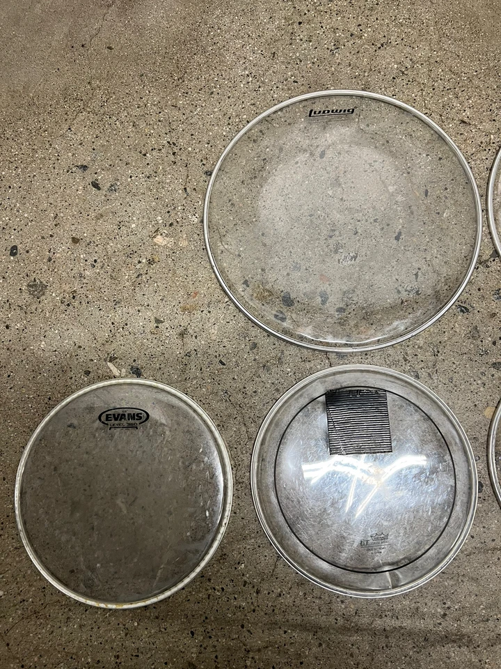DRUM HEAD LOT LUDWIG EVANS CLEAR - Image 2 of 4