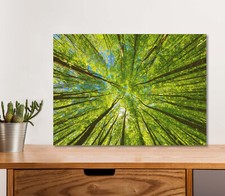 Green Tops of Trees 5mm thick Plastic Poster Ready to Hang 60x45cm