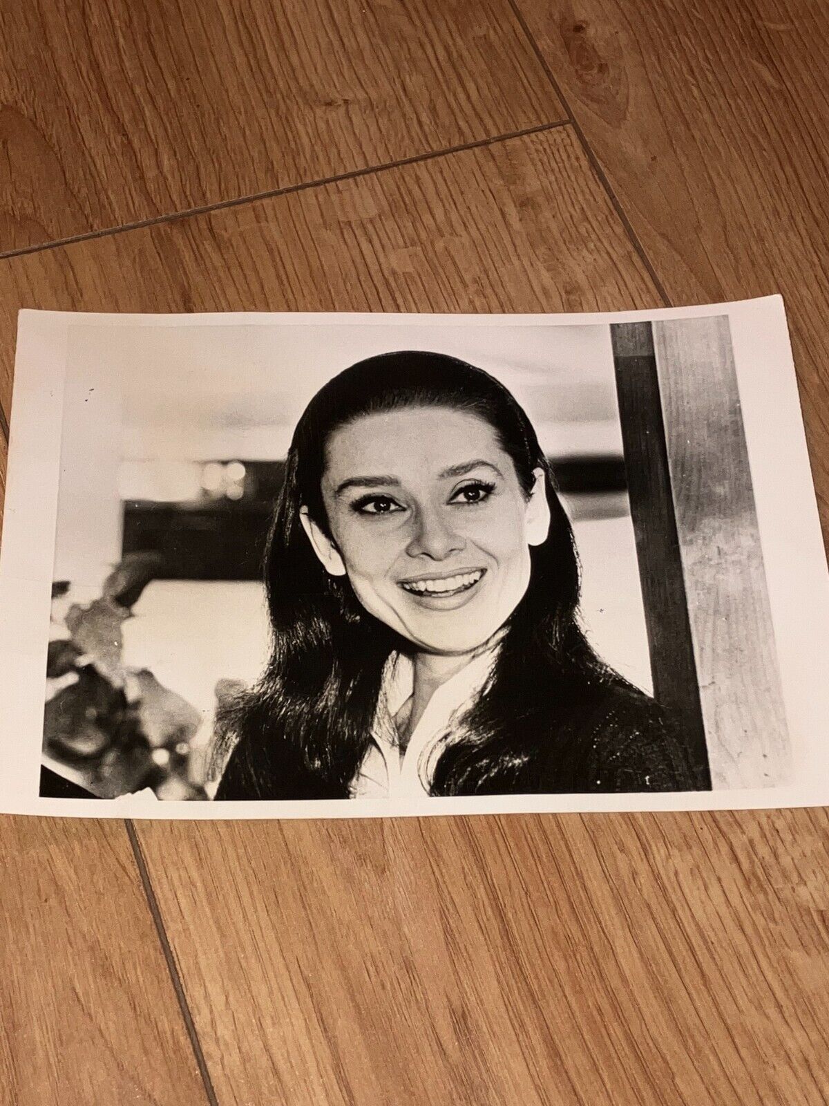 Audrey Hepburn rare original 1967 press photograph. My Fair Lady