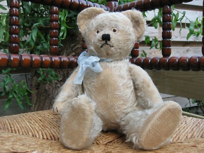 Antique Richard Diem Bear 30 CM White Mohair Fully Jointed 1930s