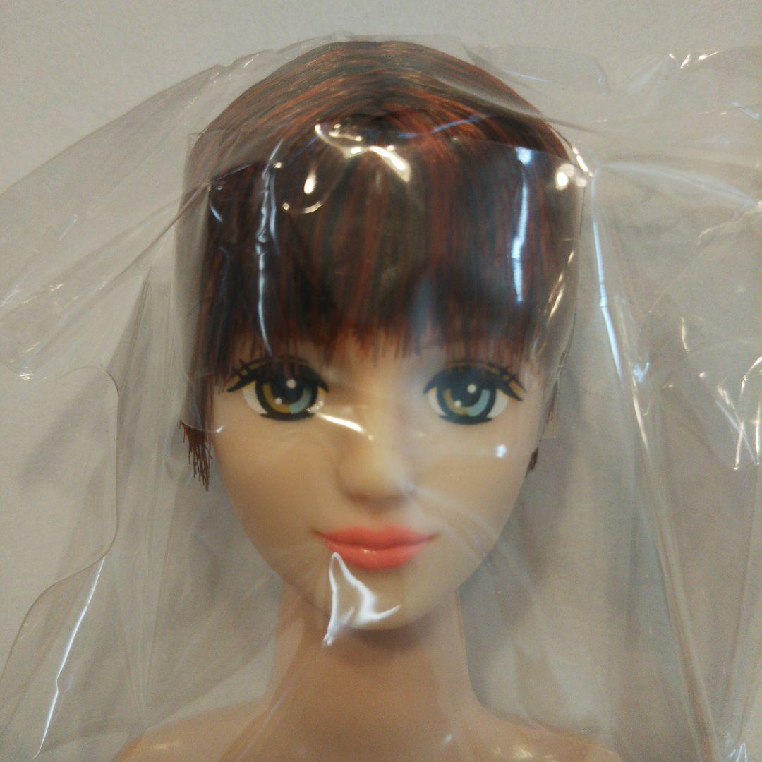 LICCA CASTLE 12-inch Fashion Doll with TAKUMI Friend Custom OOAK Collectible