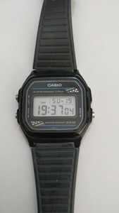 casio w66