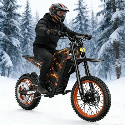 ELECTRIC DIRT BIKE 48V 21AH MAX 3000W 70KM RANGE MOTORCYCLE OFFROAD ALL-TERRAIN