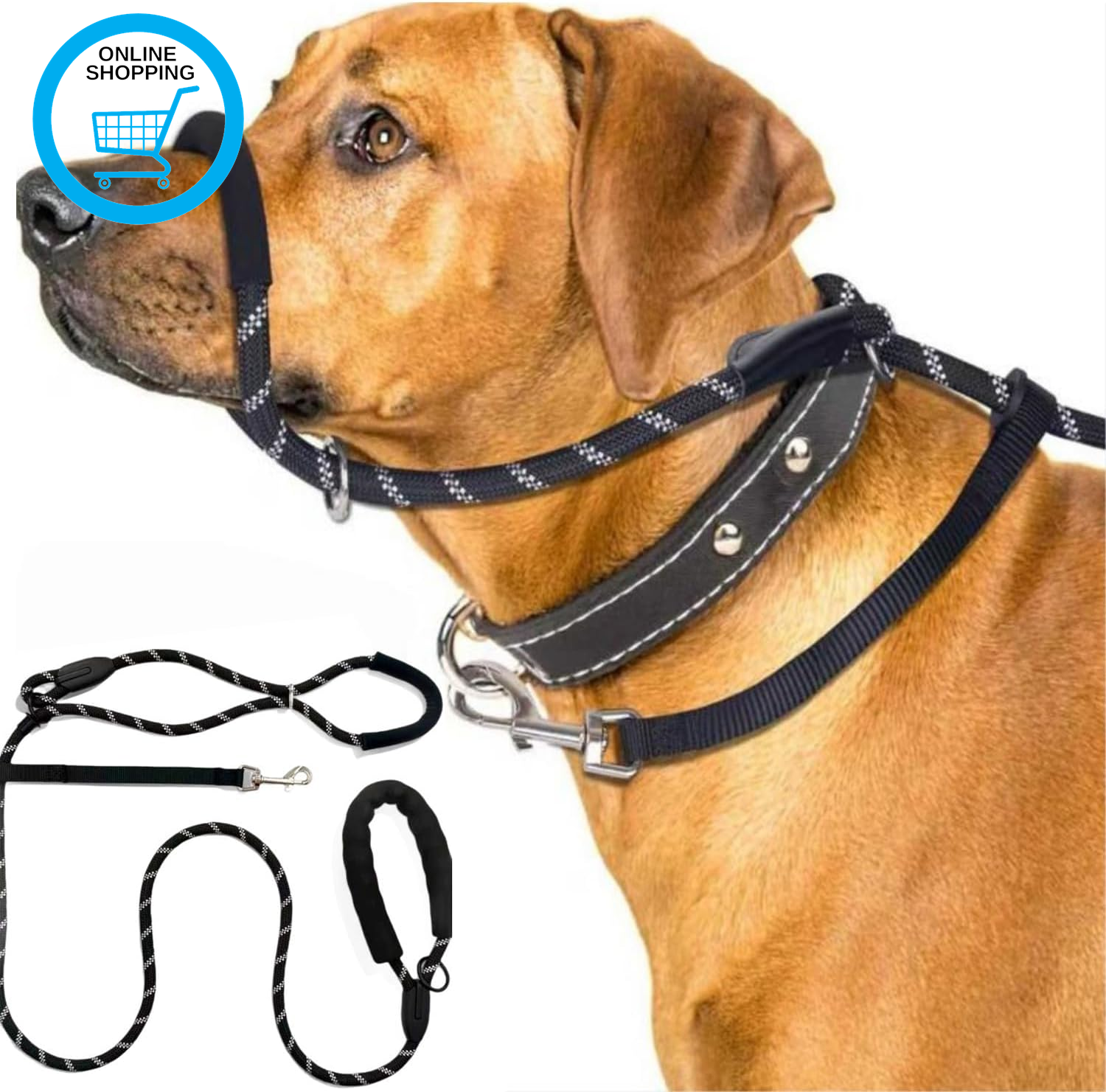 Figure of 8 Dog Lead, anti Pull Dog Lead, Slip Lead for Dogs, Reflective Rope wi