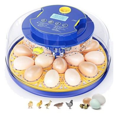 18 Egg Automatic Incubator with Temperature & Humidity Control - User-Friendly