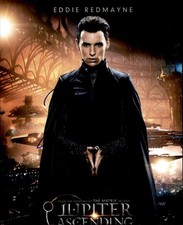 Eddie Redmayne authentic signed celebrity 11X14 photo W/Cert Autographed A0009