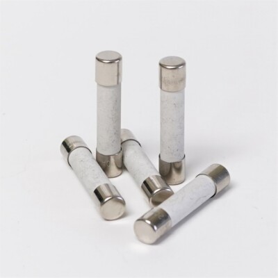 Ceramic 20 Amp Slow Blow Microwave Fuses 5 PACK 