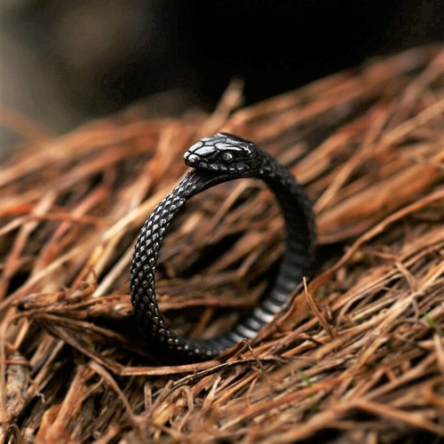 Anello serpente Ouroboros vichingo acciaio inox anello serpente norreno celtico - Foto 8 di 11