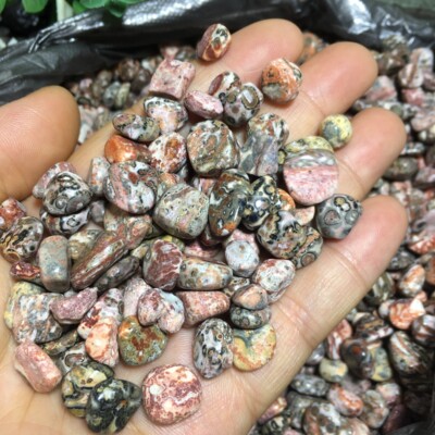 50g  Leopard stone polished Crystal  Tumbled stone healing reiki small 4-9mm