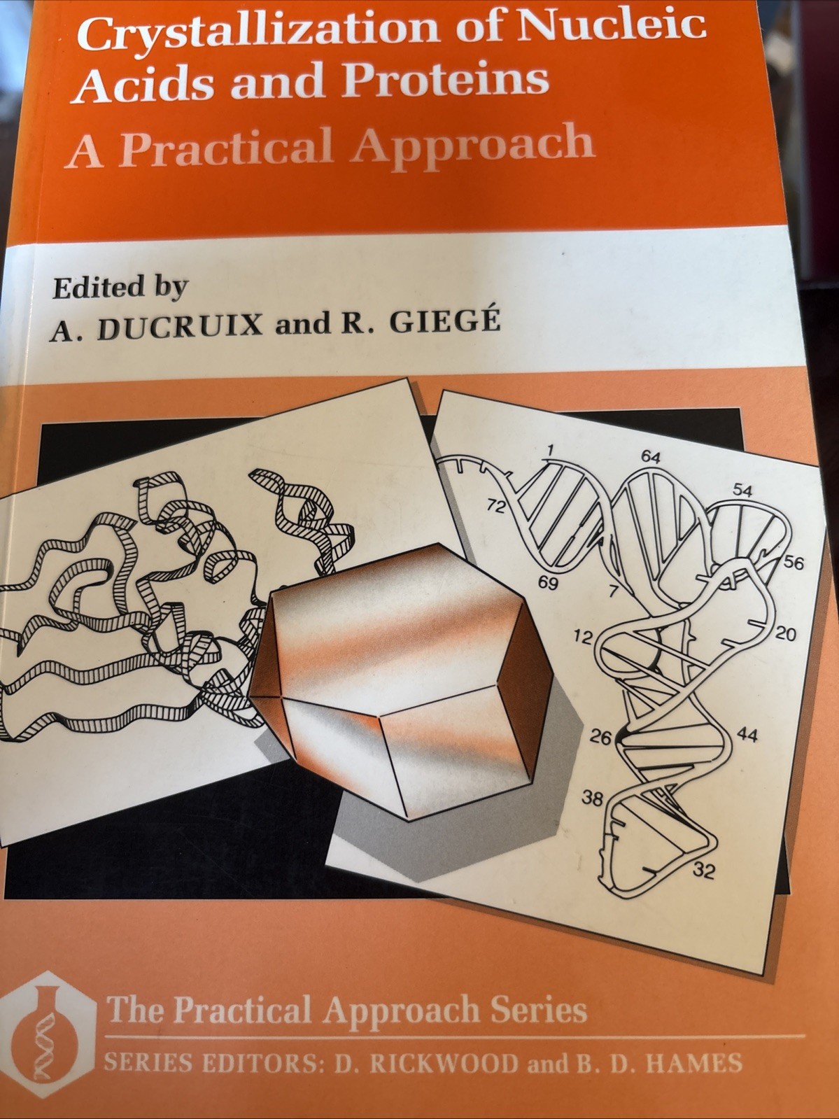 Crystallization of Nucleic Acids and Proteins : A Practical Approach by R. Giegé