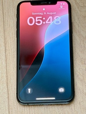 Apple iPhone Xs 64 GB Spacegrau   sehr guter Zustand   76% Akku   ohne Zubehör  