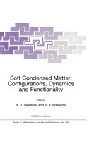 A. T. Skjeltorp (U. A.) | Soft Condensed Matter: Configurations, Dynamics And...