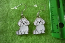 Maltese dog earrings