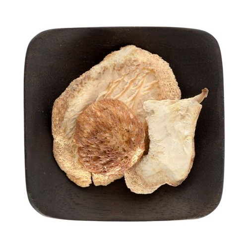 Frontier Cage Biologique Lions Crinière Champignons Séché Portions - Photo 1 sur 1