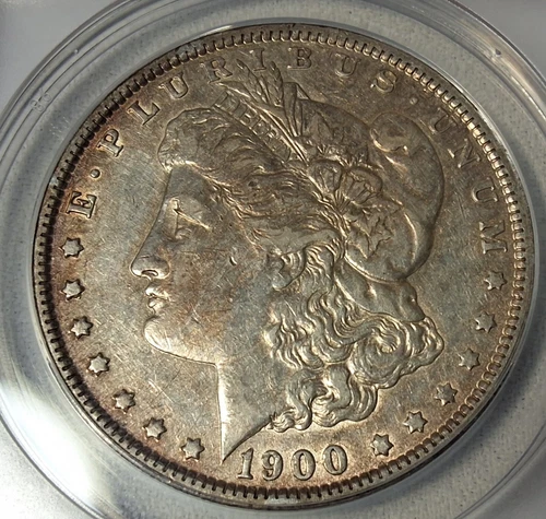 1900-O/CC  ANACS  XF45  ~  TOP 100  VAM-11