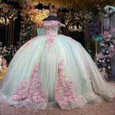 Mexican Light Mint Green Quinceanera Dresses Ball Gown 3D Applique Lace Sweet 16