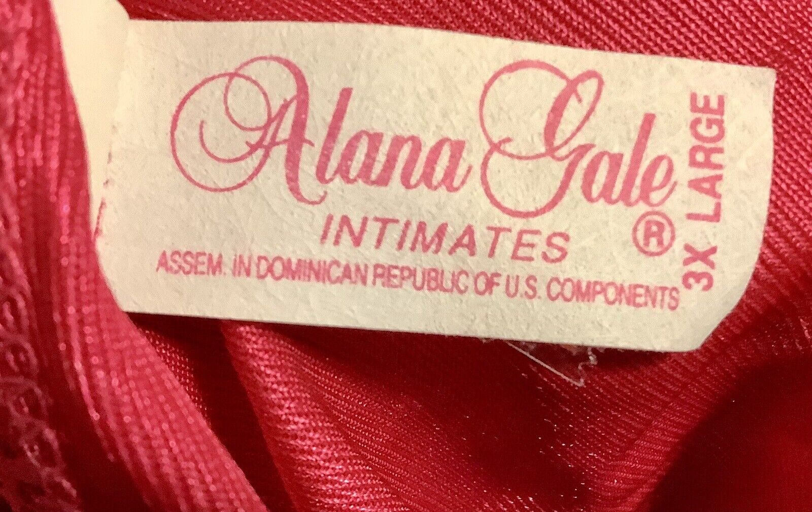 Gorgeous 2 PC Alana Gale Lace Nylon Red Baby Doll… - image 7