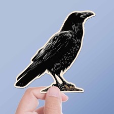 Crow Birdwatching Sticker- Decal for Water Bottle or Laptop
