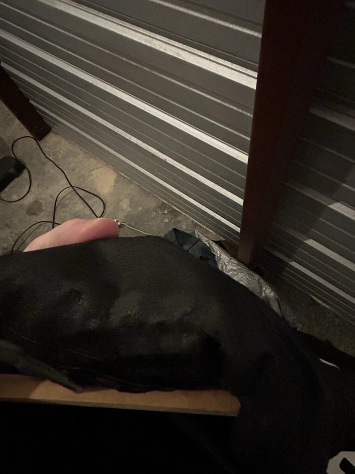 Miss Me Womens M Faux Leather Moto Jacket Embroidered Dreamcatcher Boho Western - Image 3 of 4