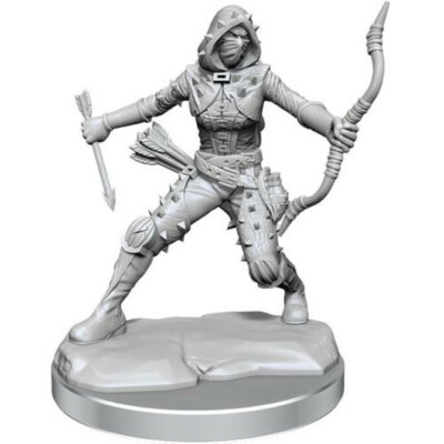 Female Human Rogue (Wave1) NEW SEALED