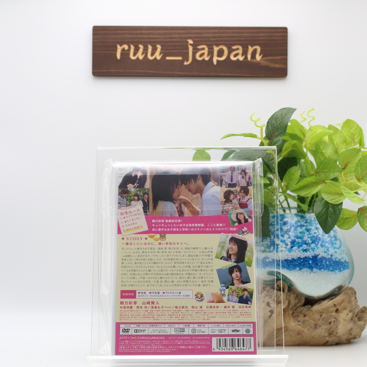 L DK LDK DVD Japan 4934569646477 Ayame Goriki Kento Yamazaki