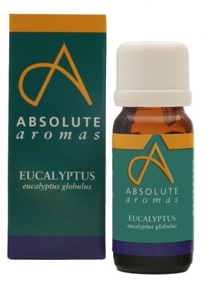 Eukalyptus Globulus ätherisches Öl therapeutische Erkältungen Schüttelfrost absolutes Aroma 10ml