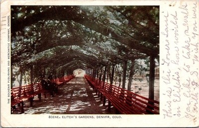 Scene Elitchs Gardens Aug 13 1908 Divided Back Postcard