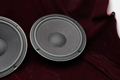 FW 305 ウーハー　fostex Fostex FW305 - 12″ Woofer 8Ω