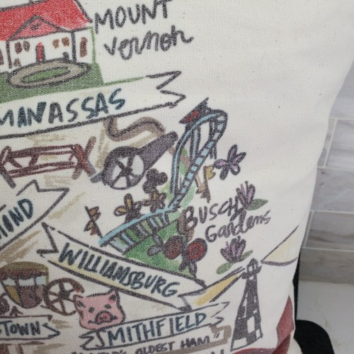 Virginia Pillow Southern Sass Blue Ridge Richmond Jamestown Manassas VBeach etc - Picture 17 of 24