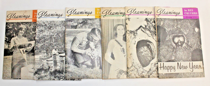 (6) Vintage Gleamings In Bee Culture, Beekeeping Magazine 1964 & 1965