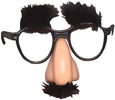 Rhode Island Novelty Child's Disguise Glasses, One Pair