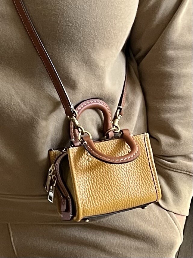 Authentic Coach Mini Crossbody | eBay