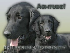 FLAT-COATED RETRIEVER Metallschild SCHILD Türschild Metall  Hundeschild NEU #2