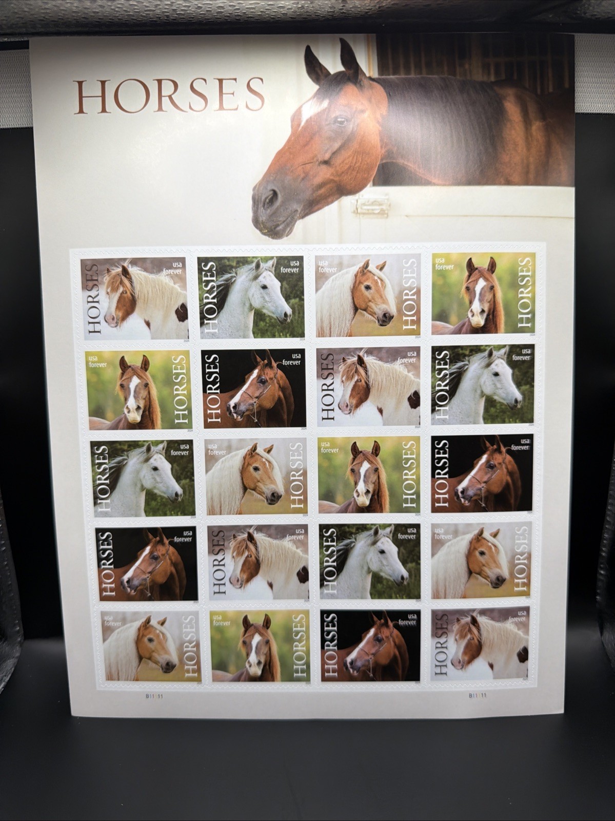 2024 USPS Horses Forever Stamp Sheet of 20 Collectible Stamps