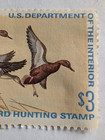 1972 Cinnamon Teal migratory bird hunting stamp $3 — photo 3