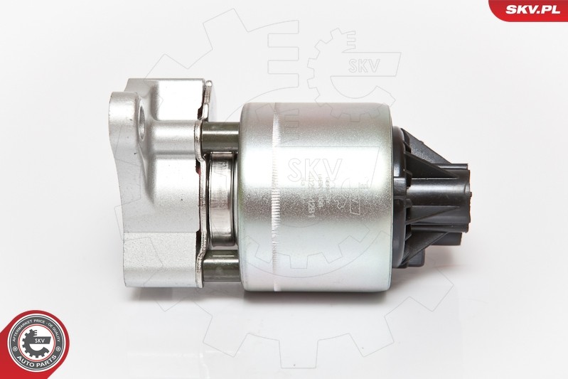 ✅Fits SKV GERMANY 14SKV056 EGR VALVE  ⭐UK Seller⭐