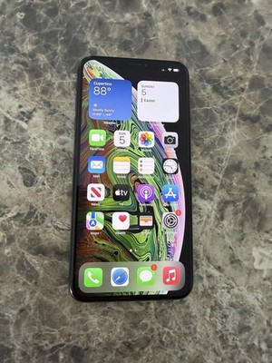 Apple iPhone XS Max Space Gray 256GB Unlocked