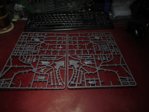 Warhammer 40k: Eldar / Dark Eldar: Bits on Sprue - Picture 3 of 5