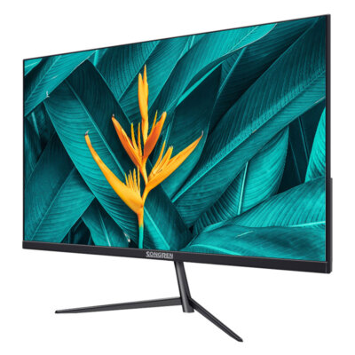 Gaming-Monitor 24 Zoll Full-HD 65Hz 2ms HDMI 1920*1080p Schwarz Monitor
