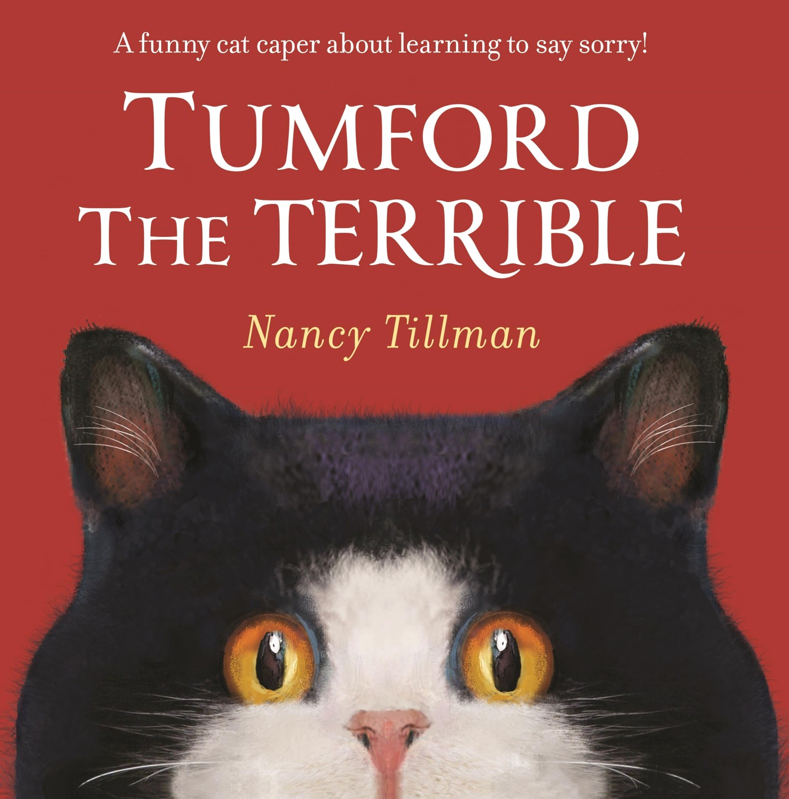Tumford the Terrible by Nancy Tillman (Paperback Book) - Image 5