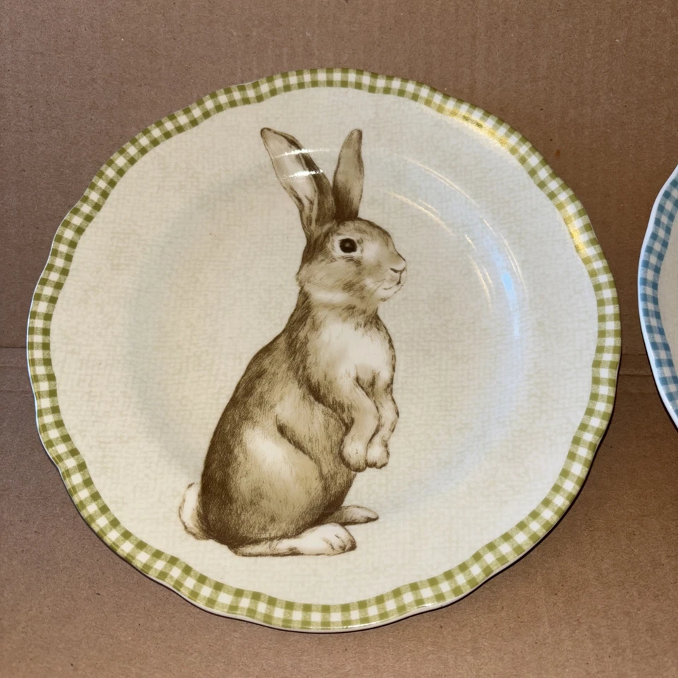 "Juego de 4 222 platos de ensalada festoneados Fifth Bunny Land Gingham Check Border 8,5"" 1B" Foto 2 de 4