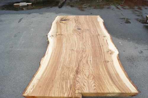 Roteiche 17 Brett Bohle Massivholz Rustikal 8x107/122x250 cm - Bild 3 von 12