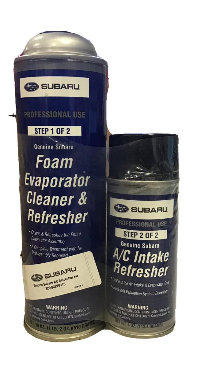 Evap core sale cleaner