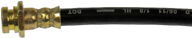 Picture 1